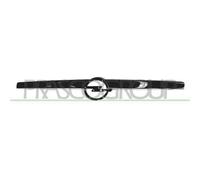 PRASCO OP4102206 Modanatura decorativa / protettiva, Griglia radiatore