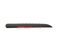 FAST FT90468G Modanatura decorativa / protettiva, Cristallo portiera