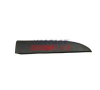 Fast Modanatura decorativa/protettiva FT90966 Portiera destra per FIAT, Renault, Nissan