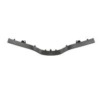 Modanatura decorativa/protettiva, griglia del radiatore BLIC 6502-07-6011997Q