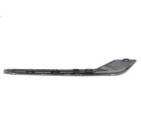 Modanatura decorativa / protettiva, Griglia radiatore BLIC 6502-07-5036992P