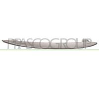 Modanatura decorativa / protettiva, Griglia radiatore Dx per BMW 5