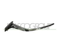 Modanatura Decorativa / Protettiva Griglia Radiatore Prasco MZ3102203 per Mazda