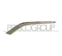 PRASCO PG3281244 Modanatura decorativa / protettiva, Griglia radiatore