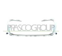 Modanatura Decorativa / Protettiva Griglia Radiatore Prasco PG4262206 per