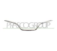 Modanatura decorativa/protettiva, griglia del radiatore BLIC 6502-07-6009991P