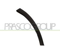 Modanatura decorativa/ protettiva, Parafango anteriore Dx per TOYOTA RAV 4