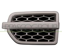 Modanatura decorativa/ protettiva, Parafango anteriore Sx per LAND ROVER DISCOVE
