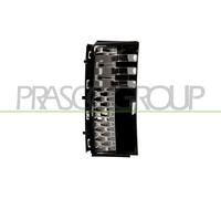 Modanatura decorativa/ protettiva, Parafango anteriore Sx per LAND ROVER RANGE R