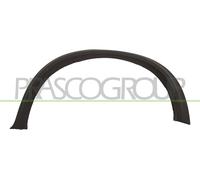 Modanatura decorativa/ protettiva, Parafango posteriore Sx per BMW X5