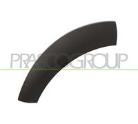 PRASCO LR0301584 Modanatura decorativa / protettiva, Parafango