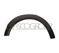 Modanatura Decorativa/ Protettiva Parafango Prasco MN3081582 per Mini