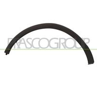 Modanatura Decorativa/ Protettiva Parafango Prasco RN7001583 per Renault