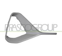PRASCO AD9532103 Griglia paraurti