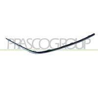 BLIC Modanatura paraurti 5703-05-0076920PP Profilo cromato destro anteriore BMW E65/E66