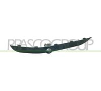 Modanatura decorativa/ protettiva, Paraurti anteriore Dx per BMW X5