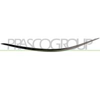 Modanatura decorativa/ protettiva, Paraurti anteriore Sx per MERCEDES-BENZ CLASS