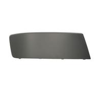 Modanatura decorativa/protettiva, paraurti BLIC 5510-00-9568926P destro