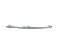 Modanatura decorativa/protettiva, paraurti BLIC 5513-00-0040927P sinistro