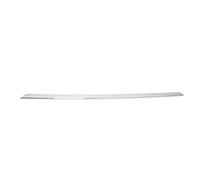 Modanatura decorativa/protettiva, paraurti BLIC 5513-00-0063926P