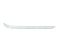 Modanatura decorativa/protettiva, paraurti BLIC 5513-00-00659722P destro