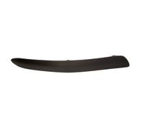Modanatura decorativa/protettiva, paraurti BLIC 5513-00-1632922P destro