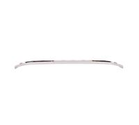 Modanatura decorativa/protettiva, paraurti BLIC 5513-00-5537920P
