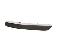Modanatura decorativa/protettiva, paraurti BLIC 5513-00-5537921P sinistro