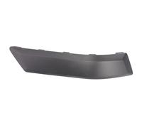 Modanatura decorativa/protettiva, paraurti BLIC 5703-05-2576975P sinistro