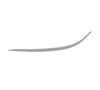 Modanatura decorativa/protettiva, paraurti BLIC 5703-05-3528926P destro