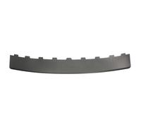 Modanatura decorativa/protettiva, paraurti BLIC 5703-05-5514973P