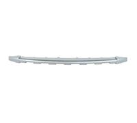 Modanatura decorativa/protettiva, paraurti BLIC 6502-07-1302920P
