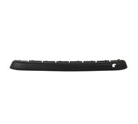 Modanatura decorativa/protettiva, paraurti BLIC 6502-07-5508920P