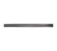 Modanatura decorativa/protettiva, paraurti BLIC 6502-07-9539970P