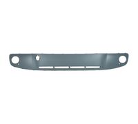 Modanatura decorativa/protettiva, paraurti BLIC 6509-01-9516999Q