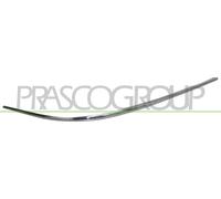 Modanatura Destra Paraurti Anteriore Cromata Mercedes Clk (w209) 2002-2009