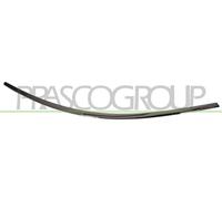 Profilo Cromato Sinistro Paraurti Posteriore Mod Avantgarde Mercedes Classe A (W