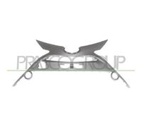 Modanatura Centrale Paraurti Anteriore Con Primer Per TOYOTA AYGO Dal 2014-2018