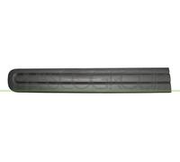 Modanatura decorativa/ protettiva, Portiera FT0401404 PRASCO per FIAT