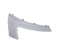 Modanatura dei fari BLIC 6502-07-0557212P, destro