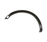 Modanatura della carrozzeria BLIC 5703-04-2599421P