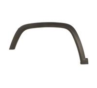 Modanatura della carrozzeria BLIC 5703-06-3217571P