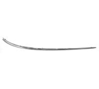 Modanatura destra anteriore per w245 2005 al 2008 cromata A1698851474
