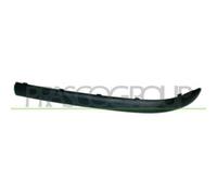 Modanatura Destra Bmw 3 Series - E46 Dal 2001 Al 2005 Lato Destro 51117030608