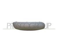 Modanatura Destra Con Primer Per Citroen C3 Dal 2005 Al 2009 Lato Destro 7452hj