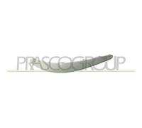 Modanatura Destra Con Primer Per Mercedes E Class (w211/s211) 2002-2007 Destro