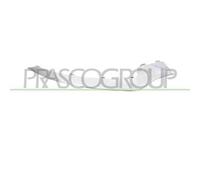 PRASCO ME0461243 Mostrina, Paraurti
