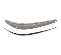 Modanatura Destra Con Profilo Per MERCEDES E CLASS (W211/S211) 2002-2007 DESTRO