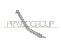 PRASCO MB7201239 Modanatura paraurti