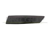 Modanatura decorativa/protettiva, paraurti BLIC 5703-05-2576976P destro